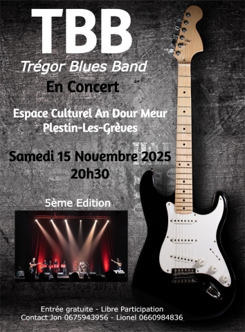 Concert de Tregor Blues Band 